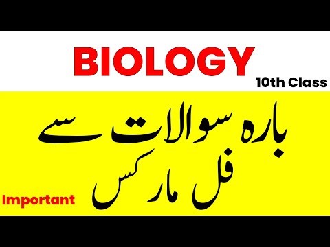 10th Class Biology important Long Questions 2023 - Biology Class 10 important Questions 2023