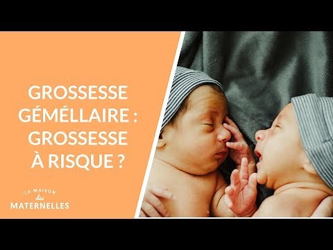 Twin pregnancy: a high-risk pregnancy? - La Maison des maternelles #LMDM