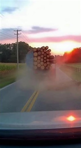 A Falling Log Spun Us to Safety 🪵 #Dashcam #Rural