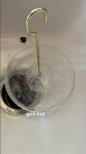 How to Clean and Fill Your Hummingbird Feeders