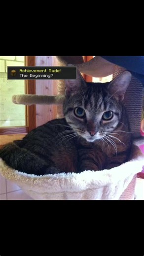 I miss my best friend 😞 #pet #minecraft #bestfriend #animal #love | minecraft