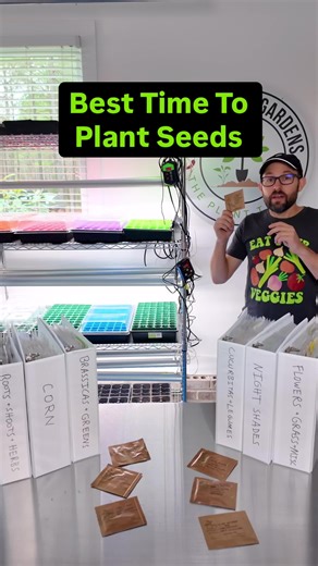 Simple Steps to Start Your Seeds This Season