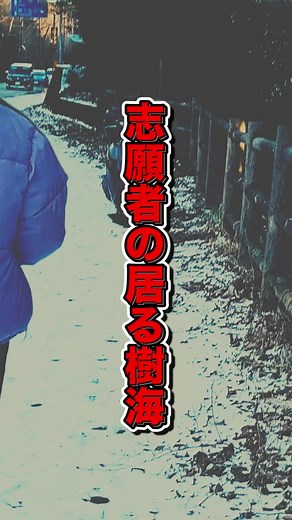 極寒の青木ヶ原樹海で見てはいけないソレを発見してしまう配信者 #心霊 #富士の樹海 #樹海 #志願者 #おすすめ #山ちゃん切り抜き