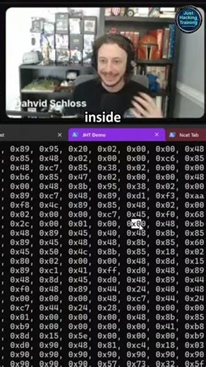 Why You NEED Raw Hex for Code Caving
