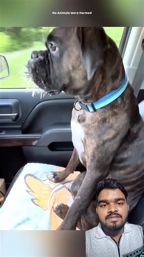 🥵😱कांटे वाला जानवर😱🥵😱#factshorts #facts #factsmine #shortvideo #youtubeshorts