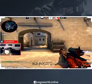 20K views · 149 reactions | [️Video] Your Daily Dose of weirdness from CS:GO world! | CS:GO | Facebook