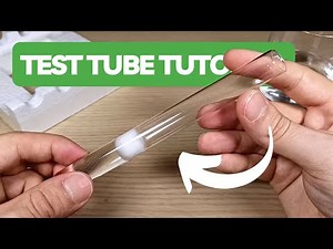 How To Make a Test Tube Setup - Ant Keeping Guide | BRUMA Ants