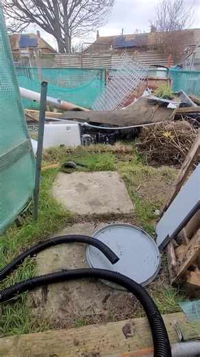 How to Start a Homemade Maggot Farm for Chickens