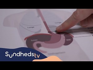 Spiserørskræft | Eksperten forklarer