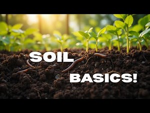 Soil Basics 101: Everything You Need to Know About Healthy Soil