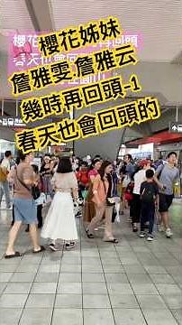 🌸 Cherry Blossom Sisters - Zhan Ya-wen & Zhan Ya-yun - When Will You Return - Part 1! Spring will...