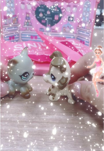 #minilpsshop #lpstiktok #lps #lpsfyp #lpspopular #lpscommunity #lpscollection