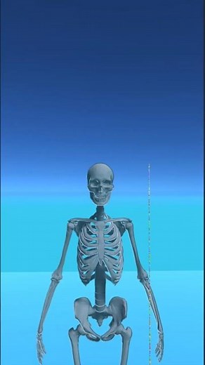 What's A Human Size In Gummy Bears 🐻