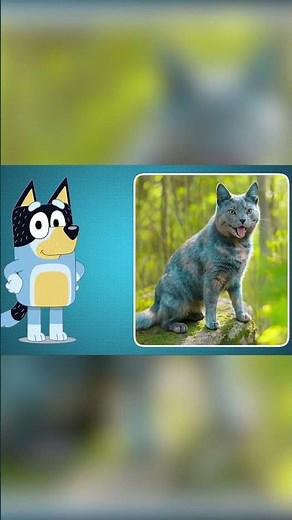 Bandit As Cat | From Bluey