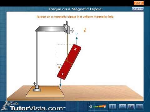 Torque on a Magnetic Dipole