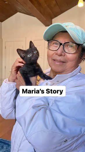 Every night, around 40 cats eagerly await Maria’s care. Maria took over as the colony caretaker 20 years ago after her son passed away. Now 72, a cancer survivor on a fixed income, she affords cat food by recycling cans and bottles. When she started cancer treatment, her main concern before surgery was ensuring the cats were fed. Thankfully, a neighbor stepped in to help. We were fortunate to meet Maria during a recent TNR project. Her knowledge and connection with the cats were invaluable, help