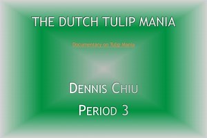 The Dutch Tulip Mania - SlideServe