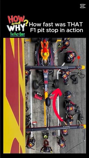 Fastest Team in F1! | Insane Pit Stop Moment