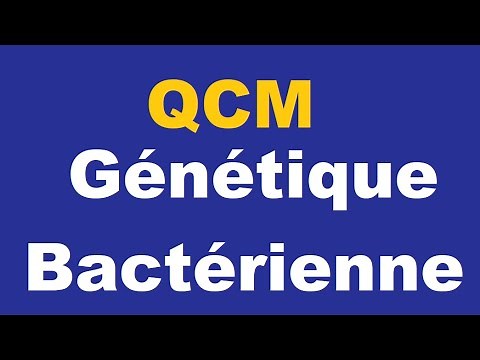 QCM Génétique Bactérienne + EXERCICES