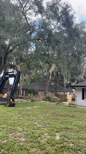 #trees #treeservice #stump | Maks Removal Tree