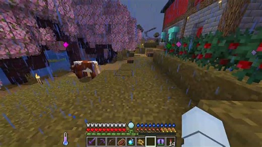 2025年的最后一个视频了