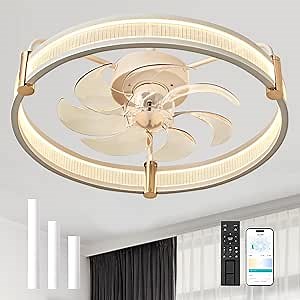 Ceiling Fan with LED Light: Flush Mount Low Profile Ceiling Fans - 20 inch Adjustable Modern Bladeless Dimmable Lights with Remote Control for Bedroom Living Room Kitchen