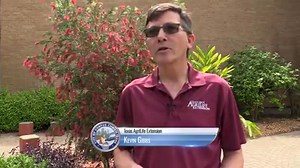 1.1K views | Texas A&M AgriLIfe wants to test your soil! Too much of a good thing can be bad for your garden and for our bays. This FREE analysis will provide information you need to make wise fertilizer treatment decisions for the best lawn possible! Pick up your kit today! | City of Corpus Christi - Government | Facebook