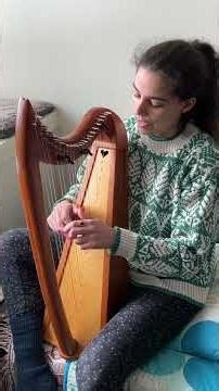 “Little Moses” harp cover