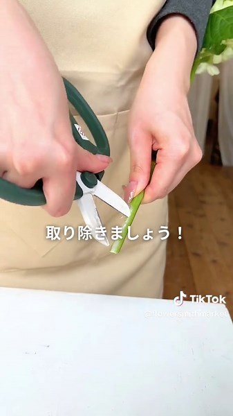 【買ってそのまま飾ってない？】紫陽花長持ちお手入れ5ステップ 🌷オススメの飾る場所🌷 風通しの良い場所 ※菌の繁殖を抑制するため♪ 🌷オススメの花瓶の形🌷 紫陽花は、頭が重いため どっしりとした花瓶がオススメ♪ 口が四角の花瓶だと 安定して飾りやすいよ！💞 初めて知った！試してみる♪と思ったら コメントに❤を送ってね✨ 「このお花のお手入れ方法知りたい！」があれば どしどしコメントください💌 次回、スプレーバラのお手入れ方法をご紹介📣 #フラワースミスマーケット #生花 #花のお手入れ #紫陽花 #花のある暮らし