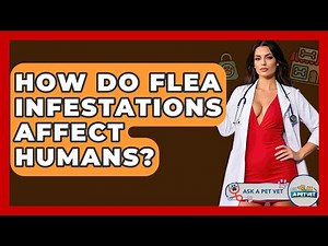 How Do Flea Infestations Affect Humans? - Ask A Pet Vet