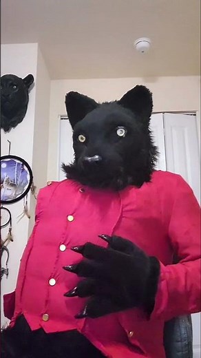 Cursed Coat (Furry Inflation)