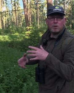 Jonge oehoe wordt geringd