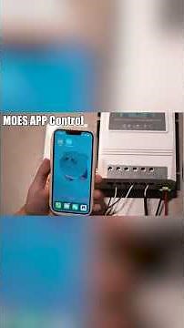 MOES Tuya Smart Dual Power Controller 80A Automatic Transfer Switch for Off Grid Solar Wind System