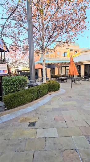 Melissa Johnson on Reels