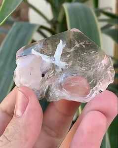 Morganite Crystal || EDENGEMS #morganite
