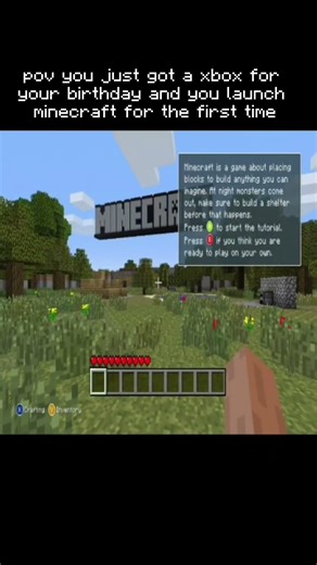 pov you launch minecraft for the first time