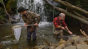 The Platypus Guardian: Waterbugs - ABC Education