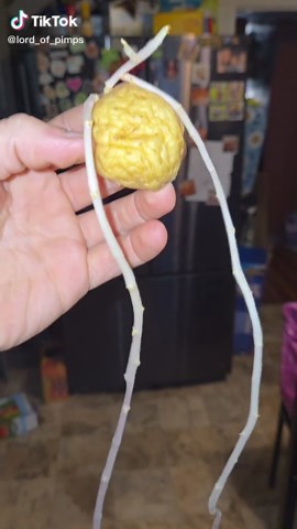 Dakota Douglas on TikTok