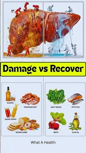 Damage or Recover ? Liver Tips