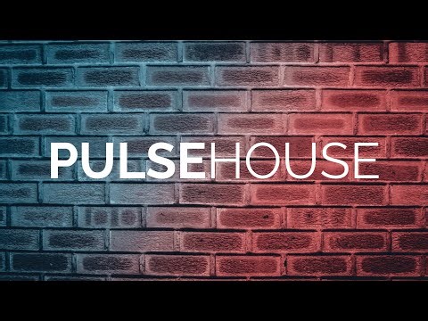 DJ Zinc & Sneaky Sound System - Show Me (House Remix) | Pulse House