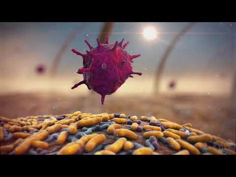 Your skin microbiome protects you from pathogens