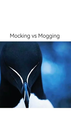 Memeconomics on Instagram: "The first computer mouse was made of wood and rolled on wheels! 🖱️✨ Invented in 1964 by Douglas Engelbart, it got its name from the tail-like cord dragging behind it like a little rodent. This clunky box kicked off a revolution in how we click through screens, evolving into the sleek gadgets we swipe today. Total tech glow-up from humble beginnings! 😄🚀 Please DM for credit or removal. (All rights reserved to respective owners, no copyright infringement intended)"