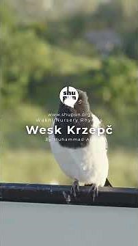 The Clever Magpie – A Wakhi Children’s Rhyme #wakhi