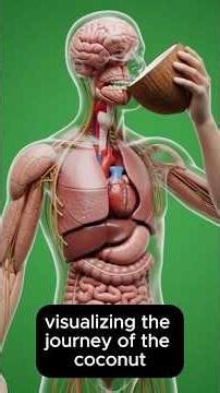 What Happens To Your Body When You Eat Coconut? (3D Medical Animation) #science #medicalanimation