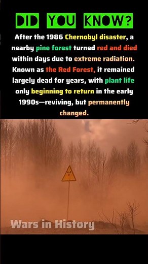 The Red Forest of Chernobyl 🌲☢️ #coldwar