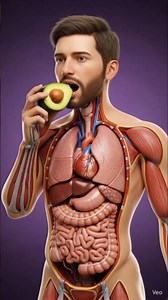 "What Happens If You Eat Avocado 🥑" Health Effects, Side Effects And More #health #healtheducation