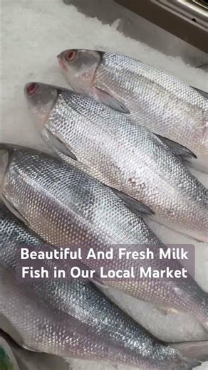 Beautiful And Fresh Milk Fish in Our Local Market