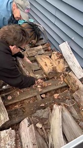 481K views · 10K reactions | Adventures with Deb Oliver.  After this baby was heard screaming, I was able to quickly secure him where Deb is fostering him. 殺 | John Debacker | Facebook