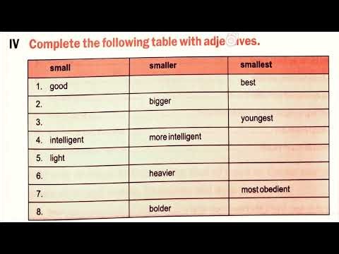 We Can't Fly (Part-3) Workbook. Lesson-7, Class-4, Explained in Punjabi. ICSEBOARD