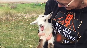 You've got to be KIDDING me with these facts | Try Not to Laugh